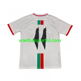 Club Deportivo Palestino Center Stripre Uit Shirt 2024-25